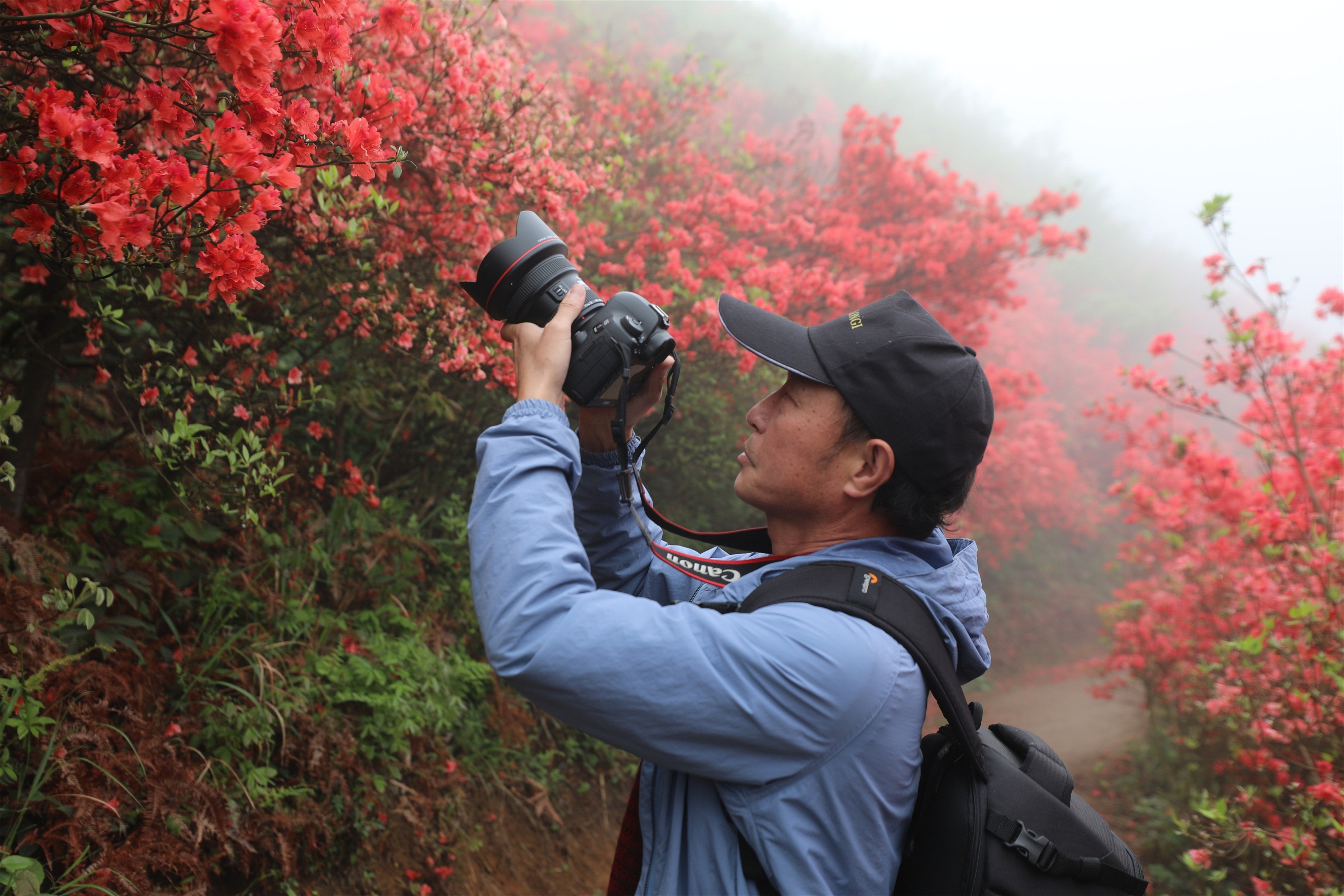 3d8a0091(1)(1)(1)(1).jpg